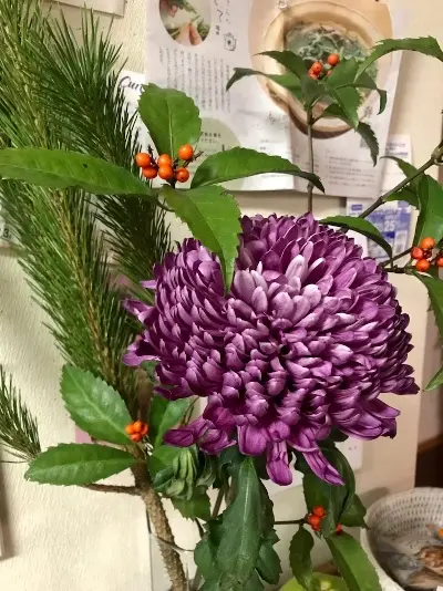 摩耶はり灸院に飾ったお正月の花