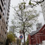 Thumbnail of post image 152
