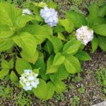 Thumbnail of related posts 090