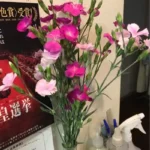 Thumbnail of new posts 143