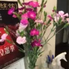 Thumbnail of new posts 146