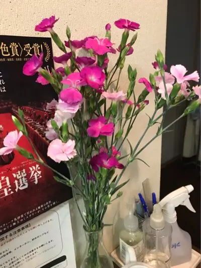 カーネーション