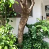 Thumbnail of new posts 041