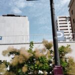 Thumbnail of new posts 199