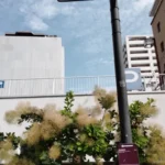 Thumbnail of new posts 066