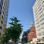 Thumbnail of new posts 176