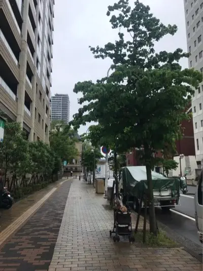 摩耶はり灸院の周辺