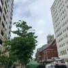 Thumbnail of new posts 114