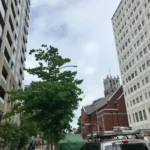 Thumbnail of post image 151