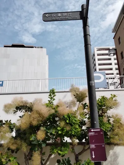 摩耶はり灸院の周辺