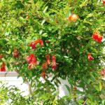 Thumbnail of new posts 150