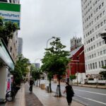 Thumbnail of new posts 037
