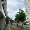 Thumbnail of new posts 156
