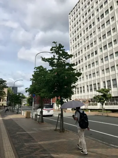 摩耶はり灸院の周辺