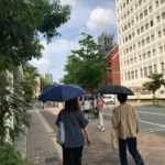 Thumbnail of new posts 013