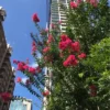 Thumbnail of new posts 098