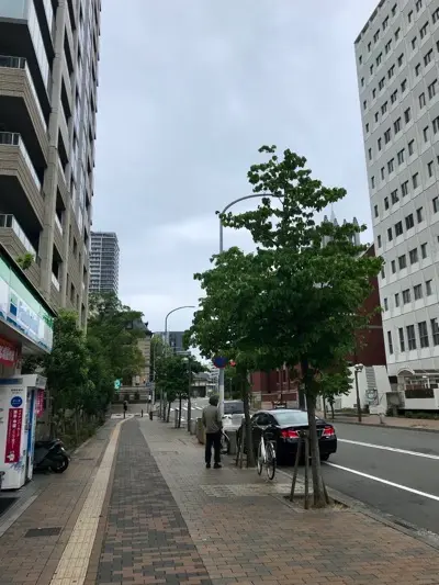 摩耶はり灸院の周辺