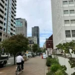Thumbnail of new posts 079
