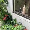 Thumbnail of new posts 139