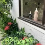 Thumbnail of post image 167