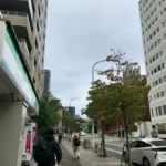 Thumbnail of new posts 017