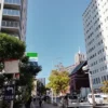 Thumbnail of new posts 165
