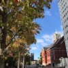 Thumbnail of new posts 166