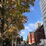 Thumbnail of post image 074
