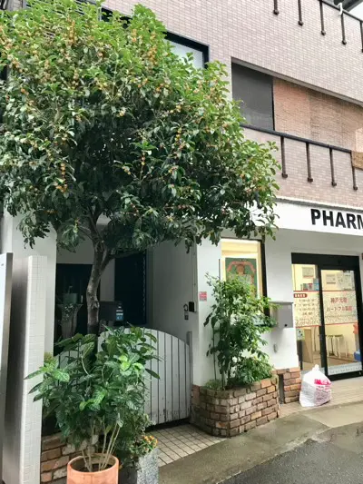 摩耶はり灸院の周辺