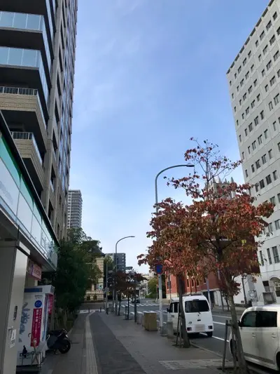 摩耶はり灸院の周辺