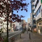 Thumbnail of new posts 038