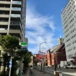 Thumbnail of new posts 036