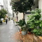 Thumbnail of post image 134