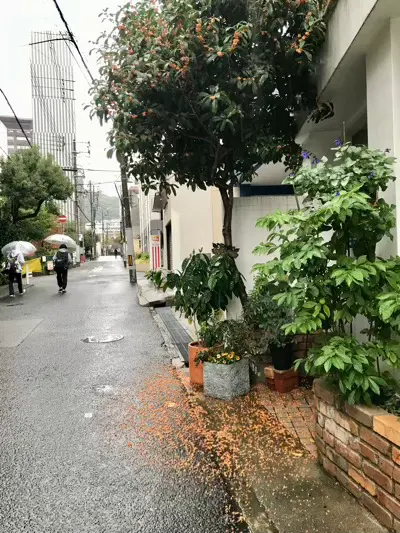 摩耶はり灸院の周辺