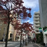 Thumbnail of post image 160