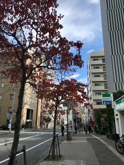 摩耶はり灸院の周辺