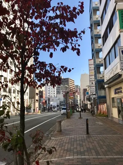 摩耶はり灸院の周辺