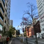 Thumbnail of post image 027