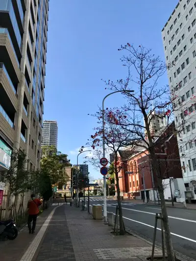 摩耶はり灸院の周辺