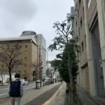 Thumbnail of new posts 003