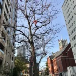 Thumbnail of post image 005