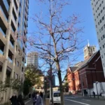 Thumbnail of post image 014