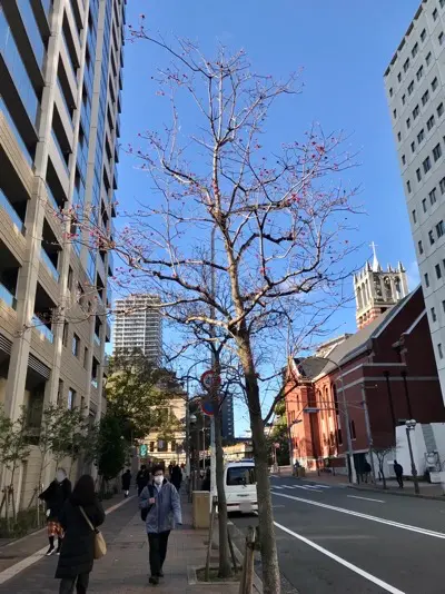 摩耶はり灸院の周辺