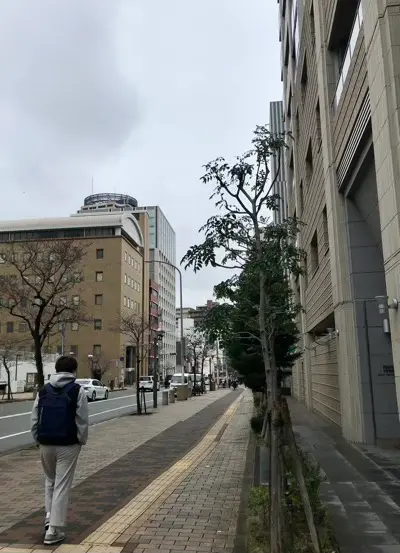 摩耶はり灸院の周辺