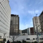 Thumbnail of new posts 029