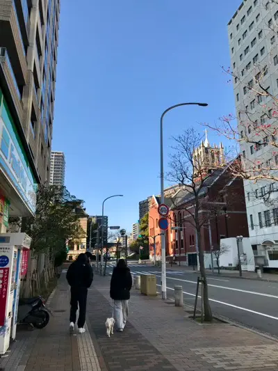 摩耶はり灸院の周辺