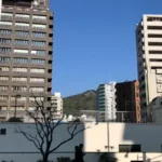 Thumbnail of new posts 044